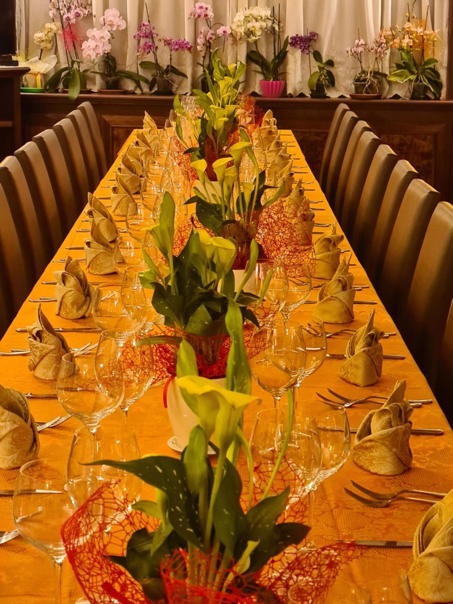 Hotel Nautilus 니코테라 마리나 외부 사진